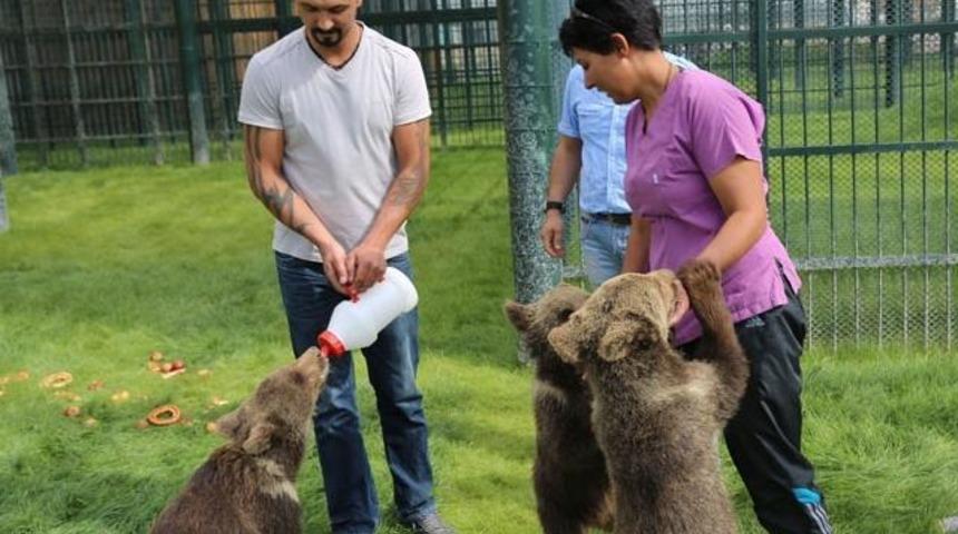 Harikalar Diyarı'nın harika ayıları