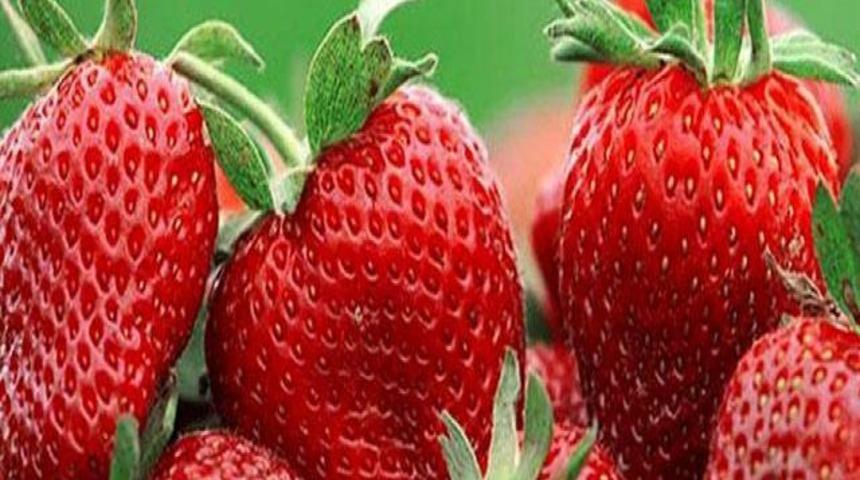 Çilek dişlere iyi geliyor