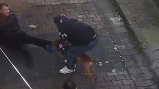 İstanbul'da pitbull dehşeti! Canını zor kurtardı