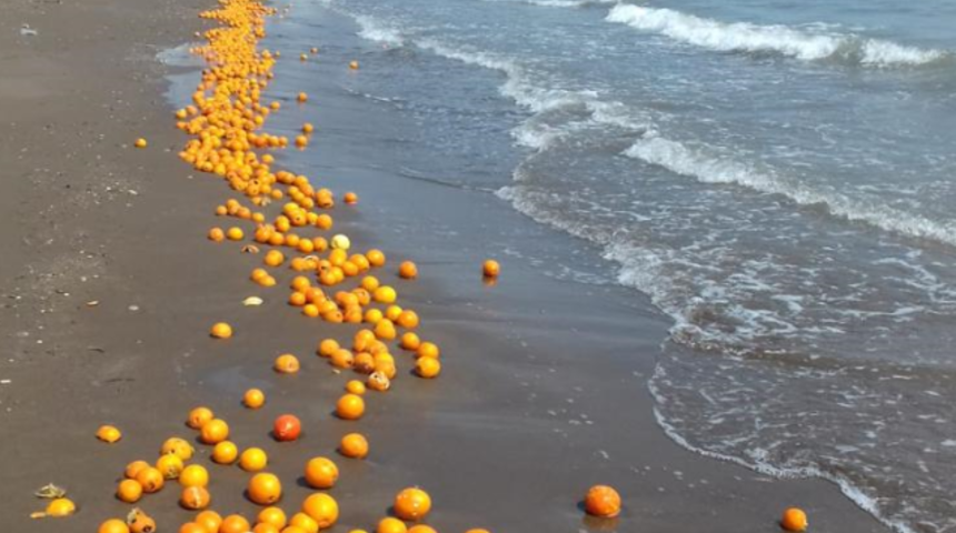 Mersin'de şaşkına çeviren görüntü! Sahile portakal vurdu