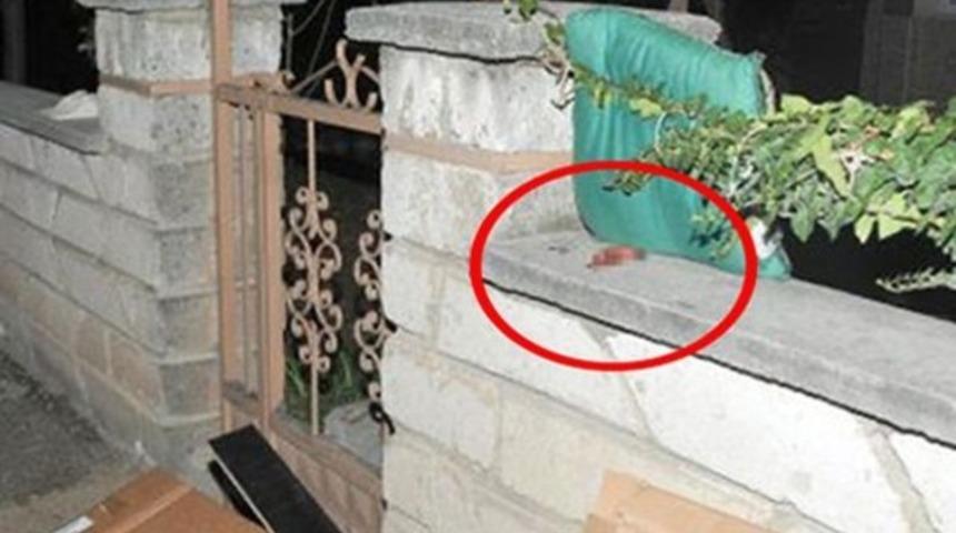 Bahçe duvarına cenin bırakıldı