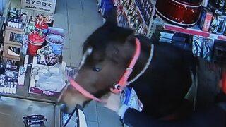 Hırsız, çaldığı atla markete daldı! Şaşkına çeviren anlar kamerada