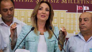 Meclis'te 'ölü balıklarla' basın toplantısı