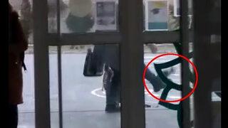 Görüntüler sosyal medyada tepki çekmişti! Kediye tekme atan okul müdürü hakkında yeni gelişme