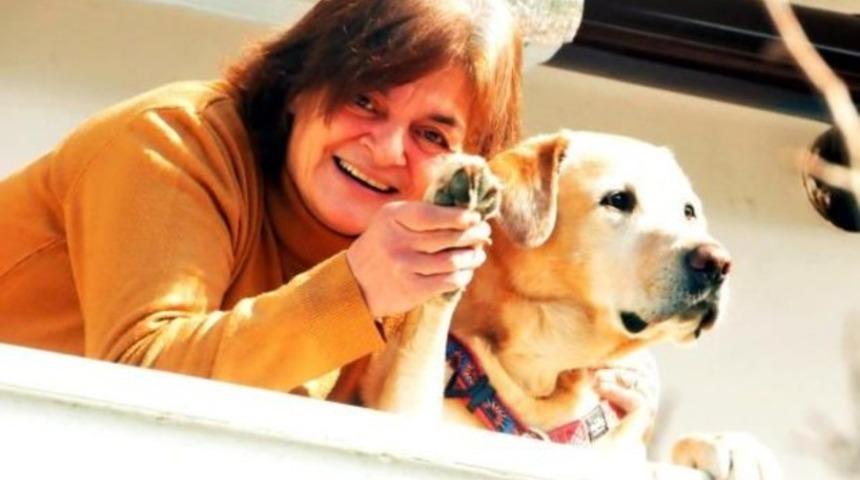 İki k&ouml;pek... İki inanılmaz haciz hikayesi...