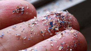 Korkulan oldu: İnsan kanında rastlandı! Organlara yerleşiyor