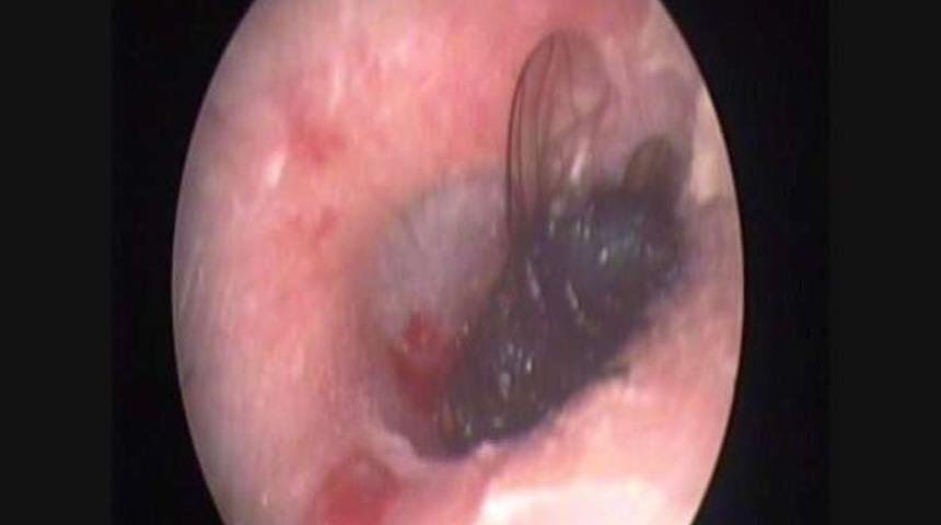 İnanılmaz ama gerçek...