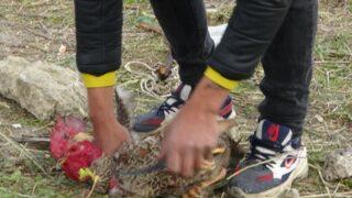 Antalya'da şoke eden an! Horoz önce 'Allah' sonra 'anne' diye bağırmaya başladı: Adeta yalvarıyordu