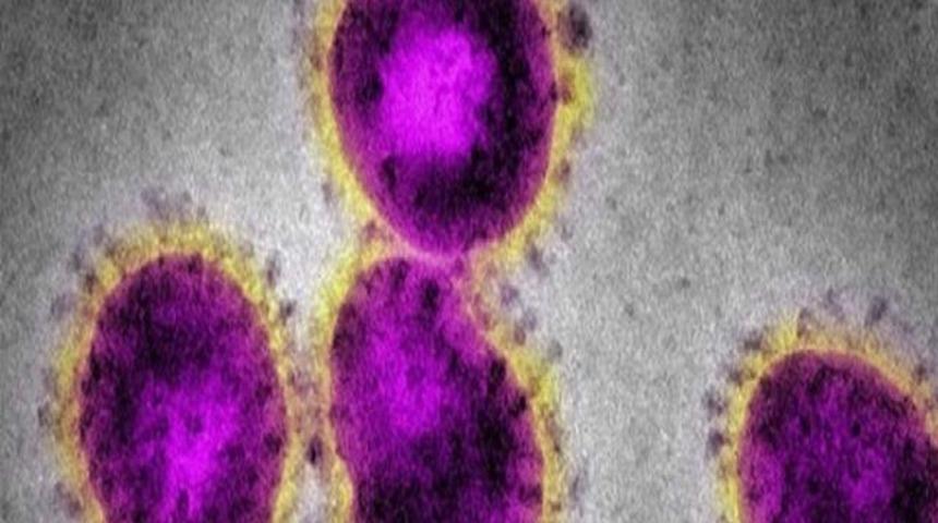 Her 100 kişiden 5'i!