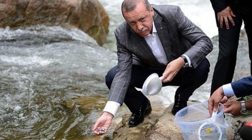 Erdoğan yavru balıkları suya bıraktı