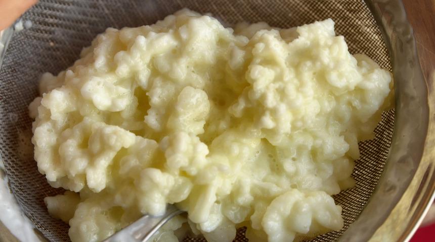 Kanser, astım, alerji... İnanılmaz sağlıklı, inanılmaz faydalı: Kefir ve kanıtlı etkileri