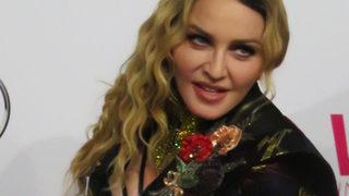 Madonna 'Sıkılmış Maymun'a servet yatırdı