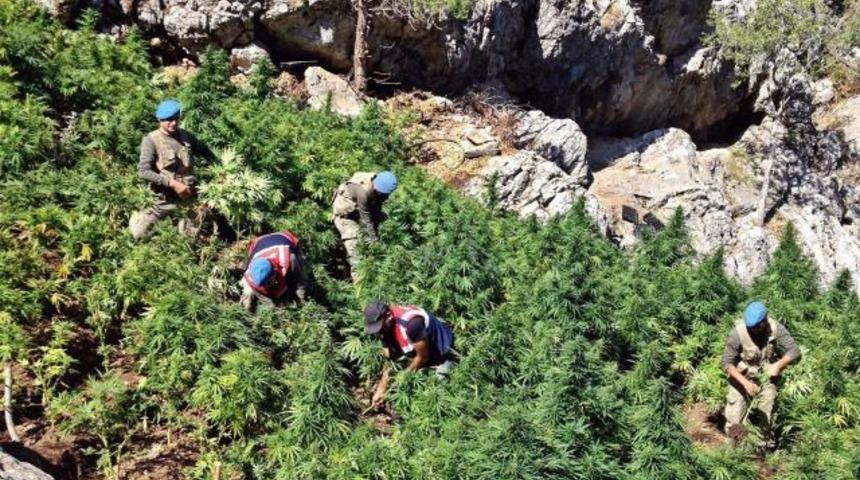 Adana&rsquo;da dev uyuşturucu operasyonu