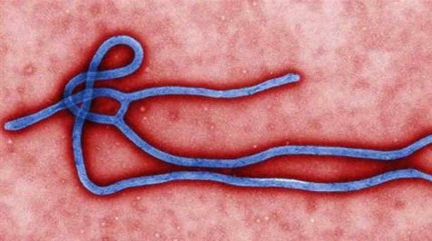 Dışişleri Bakanlığı'ndan Ebola uyarısı