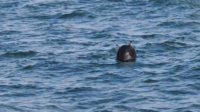 Son dakika! İstanbul Boğazı girişinde mayın tehlikesi! Açıklamalar peş peşe geldi: Harekete geçildi