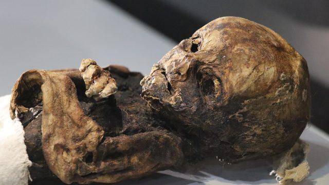 Görüntüler Türkiye'den: Toplam 13 tane var! Herkes şaşırıyor