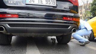 'O da bir can taşıyor' 