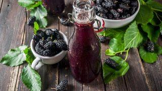 Kilo sorunu yaşayanlar dikkat! İşte karadut suyunun 7 mucizevi faydası...