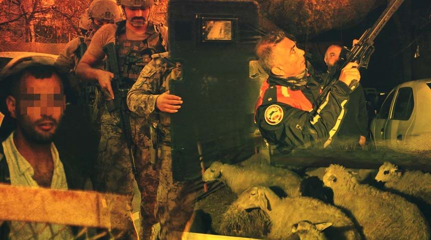 Her şey kuzuların yarı fiyatına satılmasıyla başladı... Mahallede hareketli saatler! 