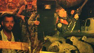 Her şey kuzuların yarı fiyatına satılmasıyla başladı... Mahallede hareketli saatler! 