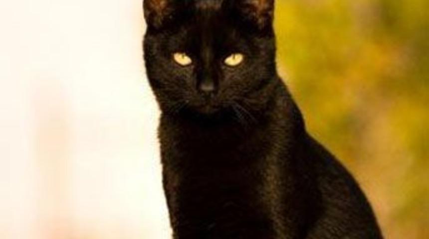 Yaygın batıl inan&ccedil;lar