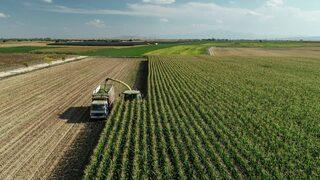 Bakan Nebati gıda fiyatlarını düşürecek adımları tek tek anlattı! Kredilerde Ziraat Bankası...