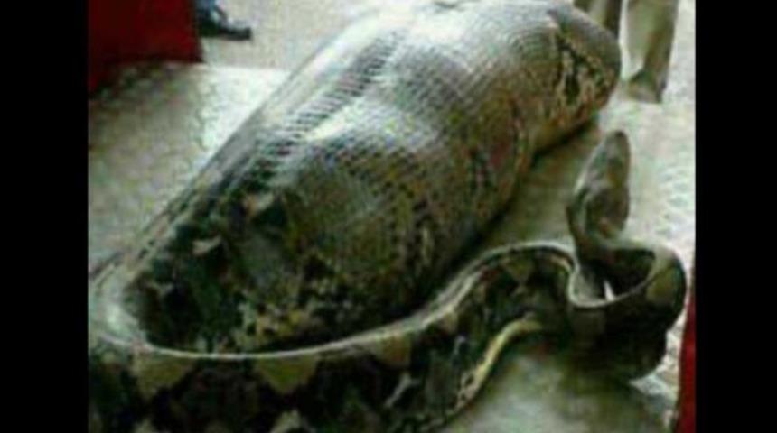 Herkes bu fotoğrafı tartışıyor!