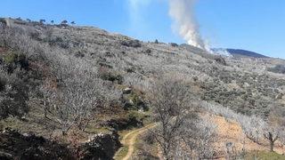 Yemek ısıtmak istedi! Ormanı küle çevirdi