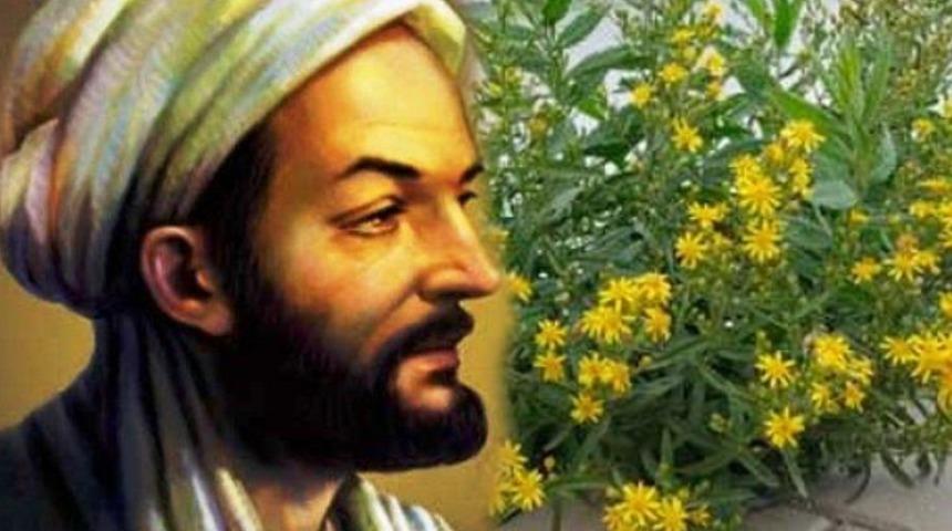 Yol kenarında kendiliğinden yetişiyor! İbn-i Sina’nın şifalı otu akciğerin ve kanserin ilacı...
