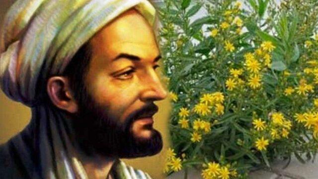 Yol kenarında kendiliğinden yetişiyor! İbn-i Sina’nın şifalı otu akciğerin ve kanserin ilacı...