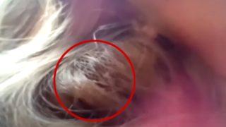 Saçına yuva yapan kuşa tam 84 gün boyunca baktı! “Onu düşününce hala ağlıyorum”