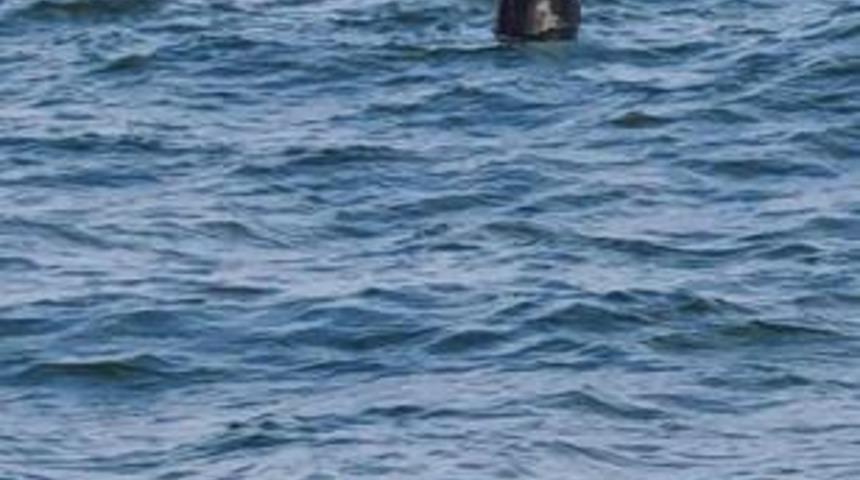 Mayınlar için 'Şaşırtıcı' diyerek tehlikeye karşı uyardı ve ekledi: 'Bilinmez güçlerin işi olabilir'