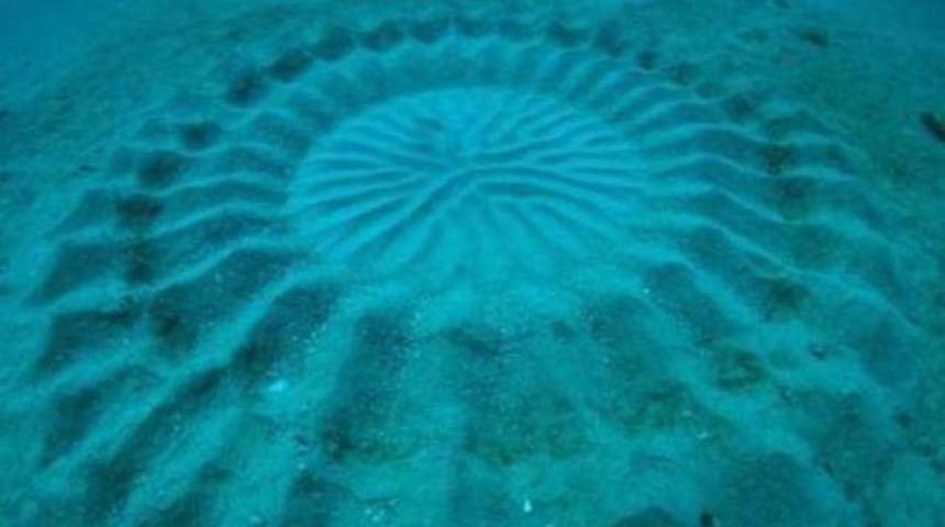 Su altındaki gizemli şeklin sırrı çözüldü!..