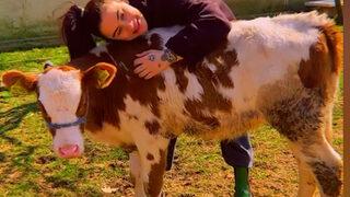 Ceylan Ertem'in köy hayatı görenlerin içini ısıttı