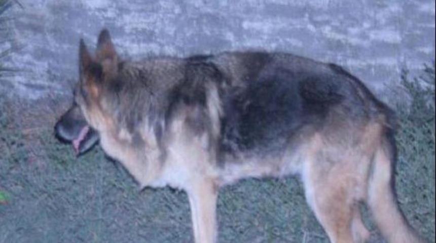 Y&uuml;rek burkan manzara