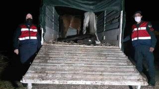 Piyasaya süreceklerdi... At ve eşekleri keserken suçüstü yakalandılar!