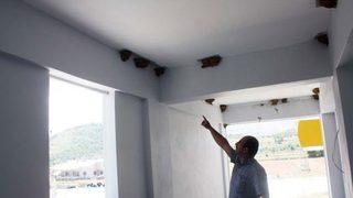 43 kırlangıç yuva yapınca inşaata ara verildi