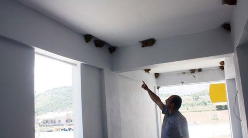 43 kırlangıç yuva yapınca inşaata ara verildi