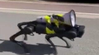Çin'de sokaklarda dolaşan robot köpek gündem oldu! Tam 16 bin dolar