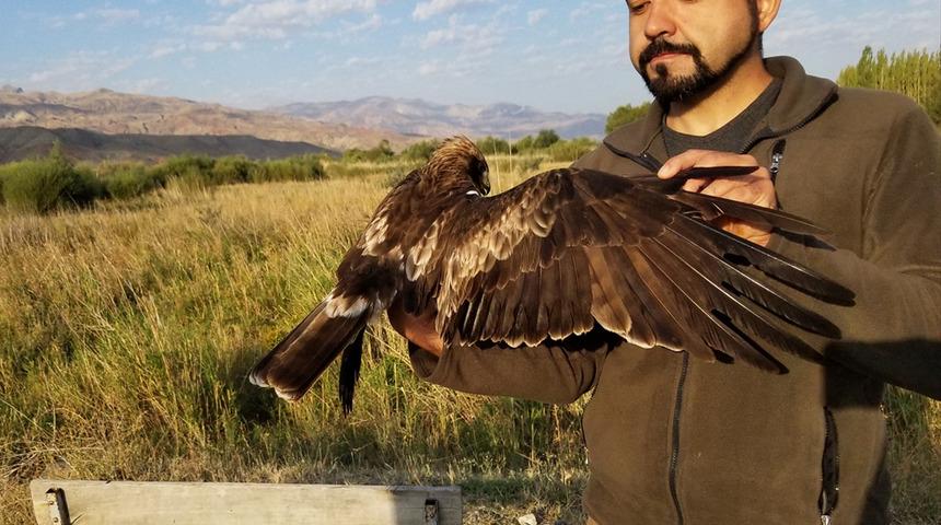 Uydudan takip edildi! 6 ayda 20 bin kilometre uçup 9 ülke gezdi