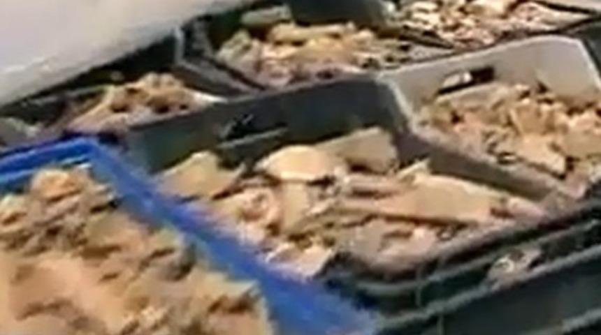 Eyüp'te mezarlık skandalı