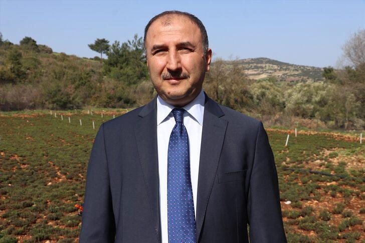 Hatay'da zahter hasadı başladı G4