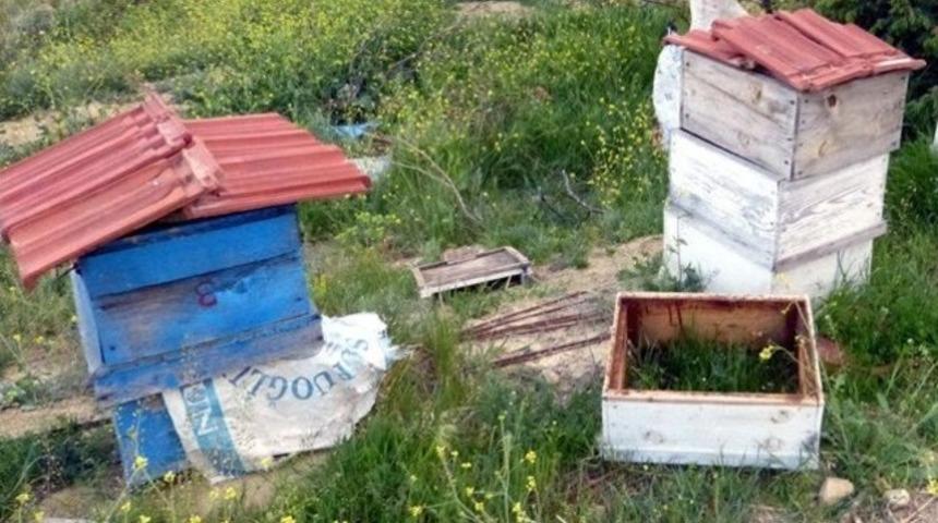 Arı saldırısı can aldı