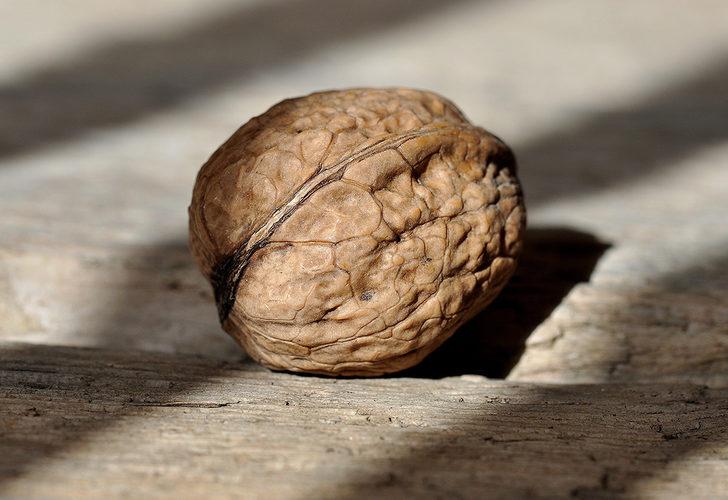 Etkileri inanılmaz: Günde 4 adet ceviz yediğinizde vücudunuzda bakın neler oluyor! G3