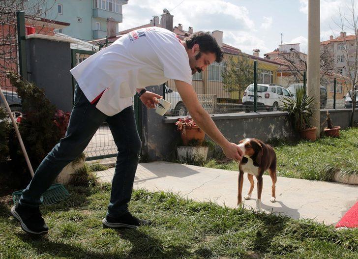 Veteriner kliniği kısa omurga sendromlu köpek Çakıl'ın yuvası oldu G2