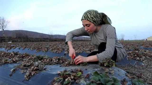 Cumhurbaşkanı Erdoğan ortaklık teklif etti! Genç çiftçinin azmi örnek oldu