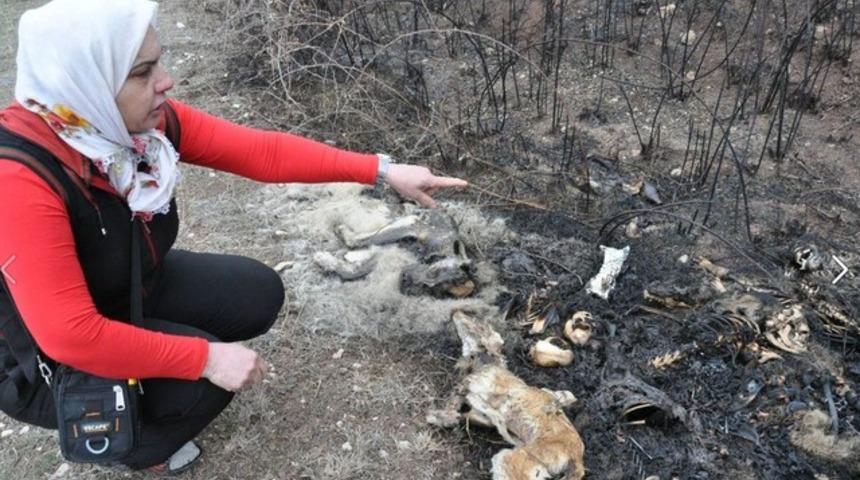 Amasya^da korkun&ccedil; iddia