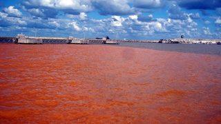 Karadeniz ‘Kızıldeniz’e dönüştü