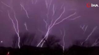 Bu video izleyenleri hayrete düşürüyor! Çok az rastlanıyor... ABD'de kaydedildi