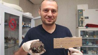 Nottan baykuş çıktı